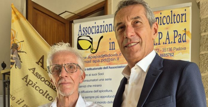 WhatsApp Image 2025-06-15 at 15.40.35