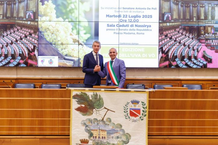 WhatsApp Image 2025-07-22 at 15.33.53