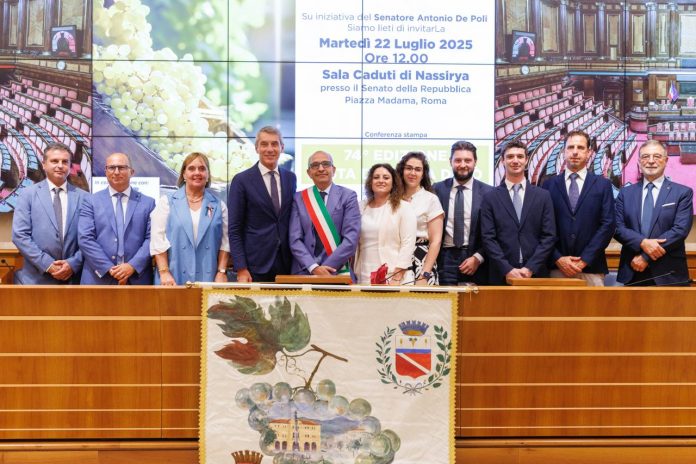 WhatsApp Image 2025-07-22 at 17.21.11