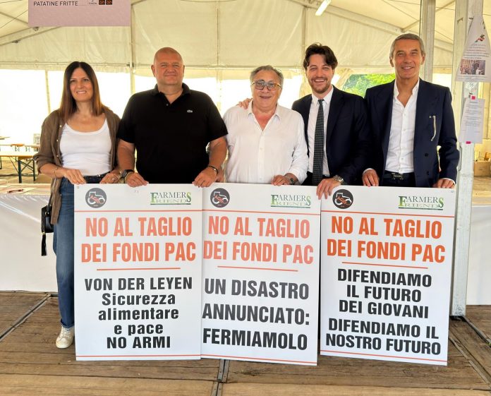 WhatsApp Image 2025-07-27 at 11.41.59