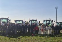 Celebrare la terra e chi la custodisce: la 75ª Giornata Nazionale del Ringraziamento a Veggiano