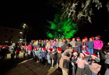 Accensione dell’Albero di Natale a Carmignano di Brenta: luci, musica e una comunità che si stringe insieme