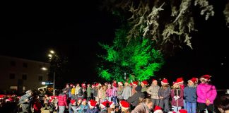 Accensione dell’Albero di Natale a Carmignano di Brenta: luci, musica e una comunità che si stringe insieme